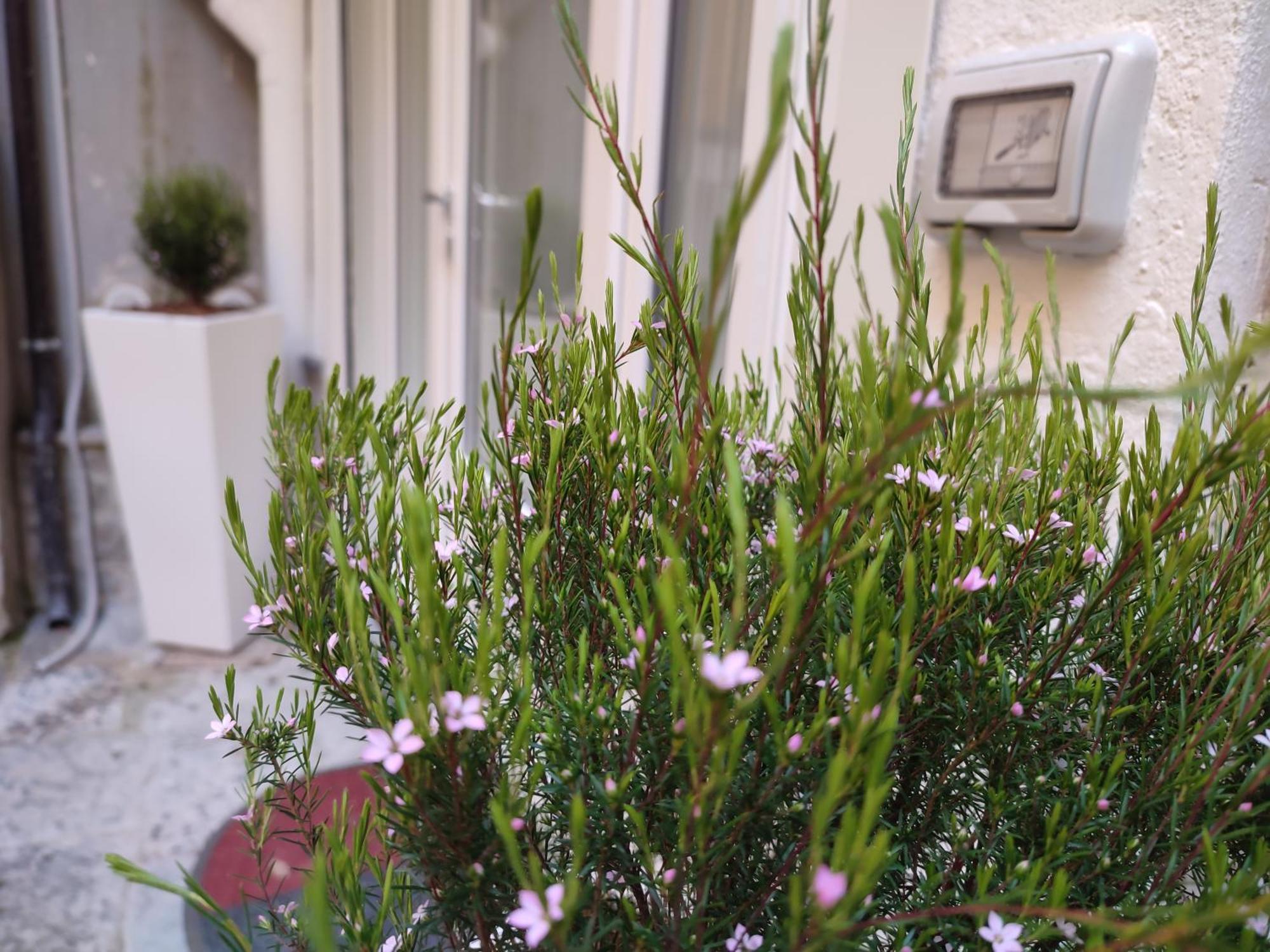 Solimena House 44 *
