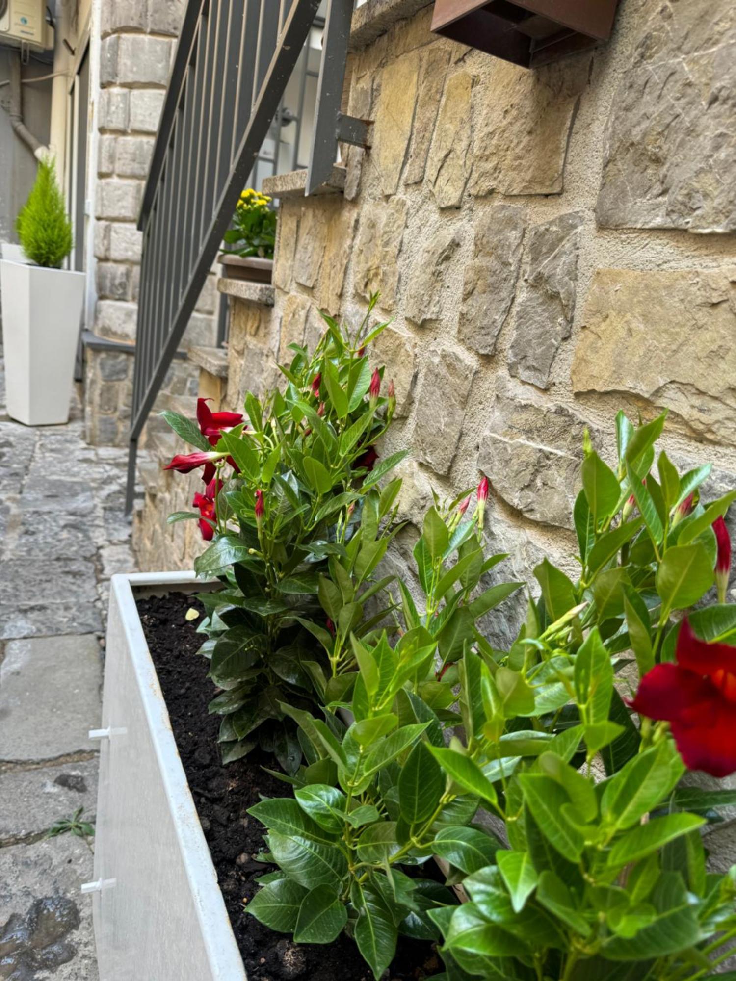 Solimena House 44 Gasthof Nocera Inferiore
