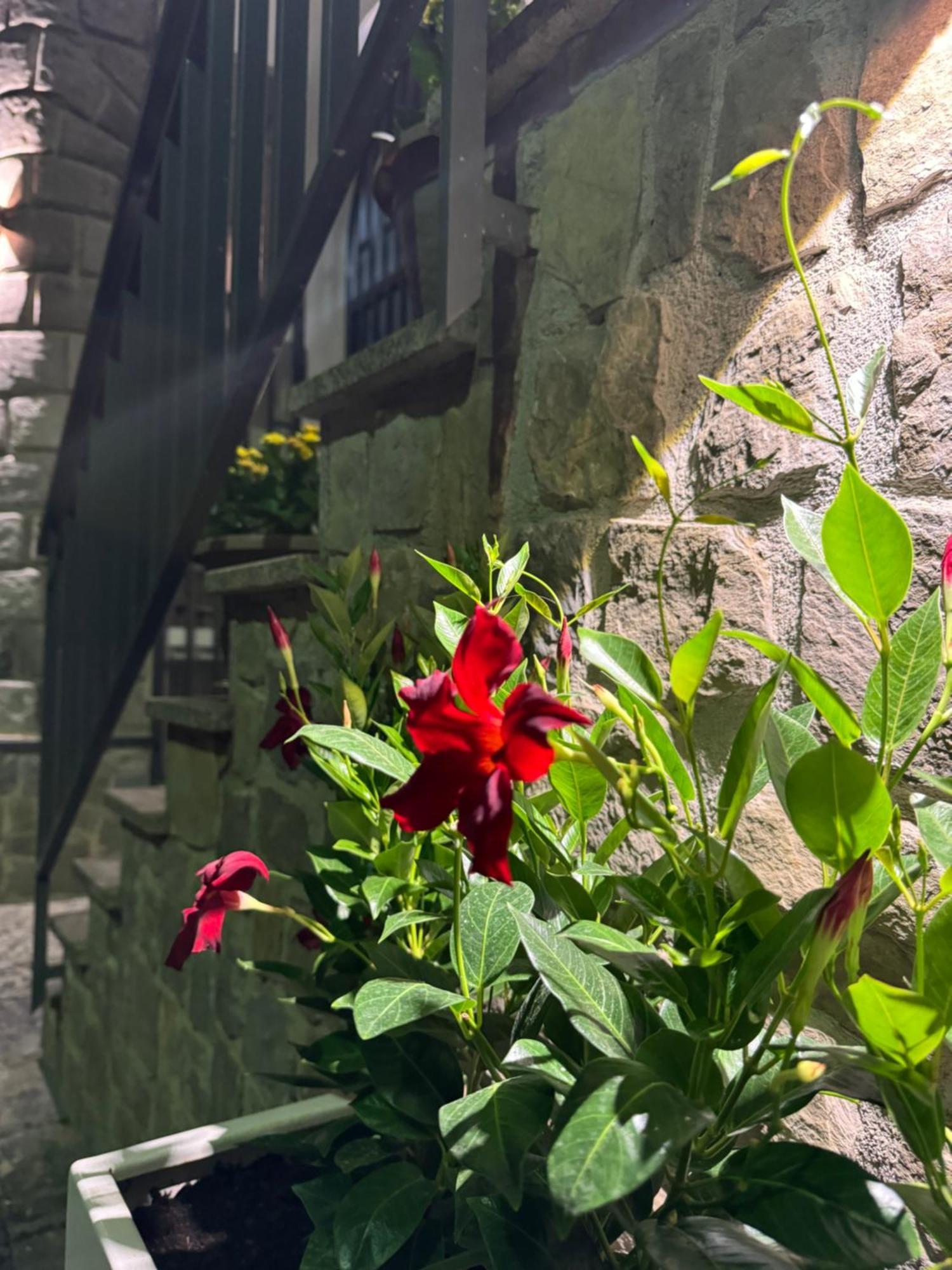 Solimena House 44 Nocera Inferiore